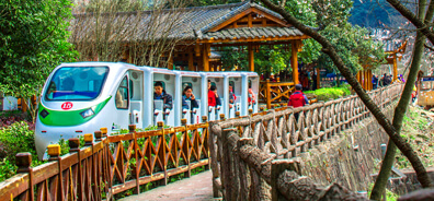 banner1